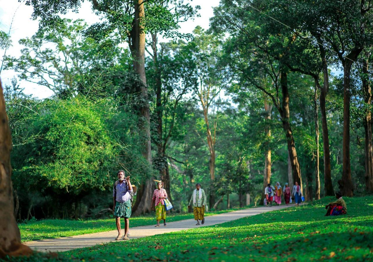 Tusker Inn Wayanad Forest Villa By Voye Homes Exterior foto