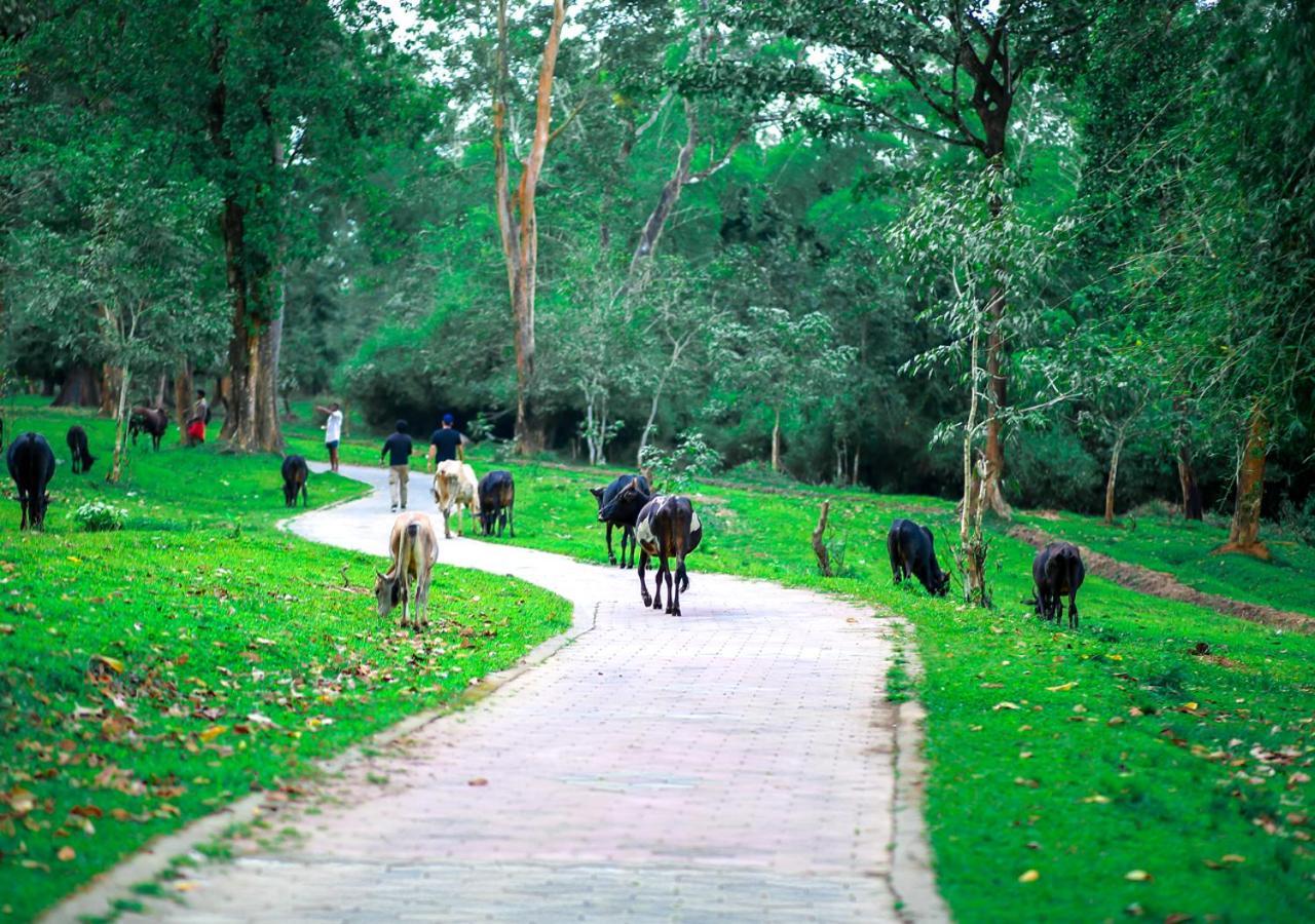 Tusker Inn Wayanad Forest Villa By Voye Homes Exterior foto