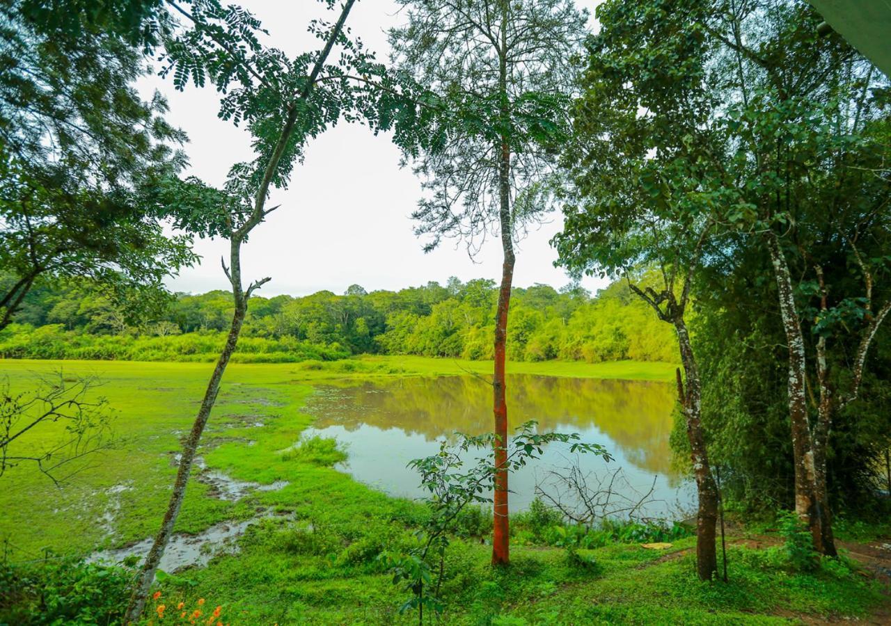 Tusker Inn Wayanad Forest Villa By Voye Homes Exterior foto